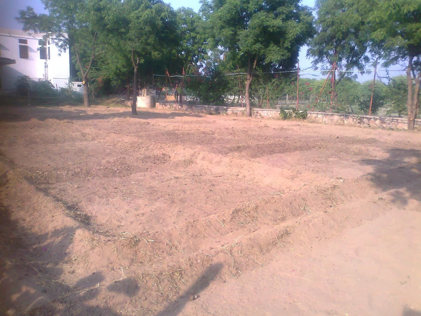 winter salad and tomato area